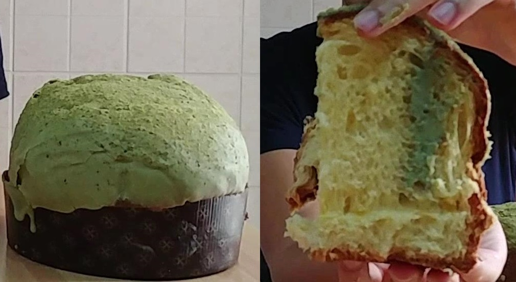 Panettone Pistacchio Bacco Pan Bacco